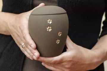 寵物殯葬高價套餐近萬元 是溫情送別 還是暴利生意？